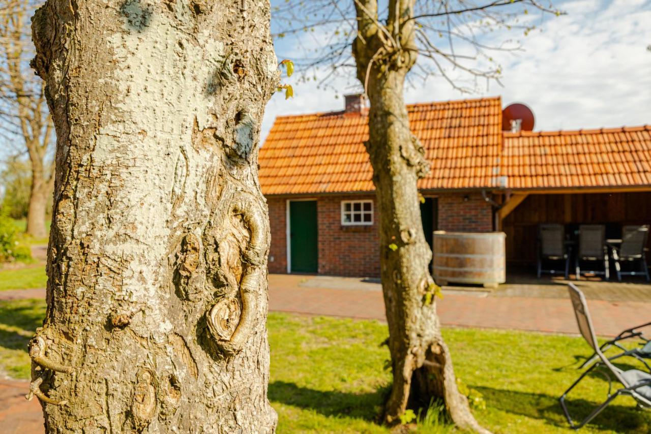 Reetdach Ostfriesenhaus Villa Südbrookmerland Dış mekan fotoğraf